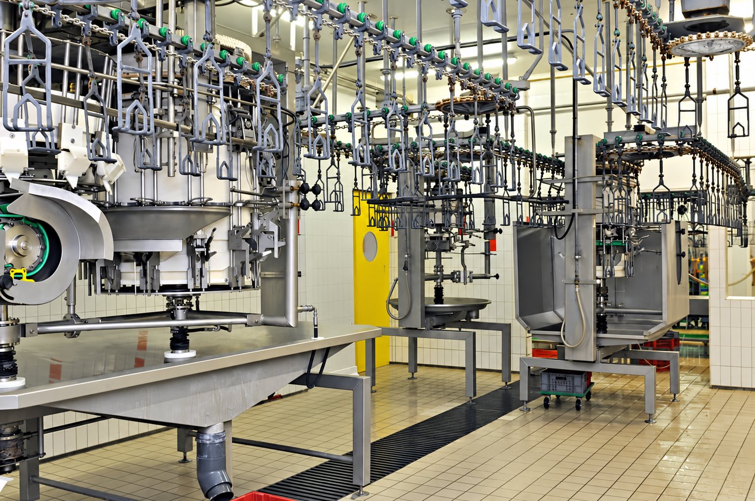 Intérieur d'un atelier industriel de transformation de volaille avec convoyeur aérien à crochets, machines en inox et sol carrelé.